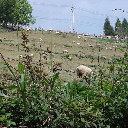 Winlu Vacation Farm Vila Renai Exterior foto