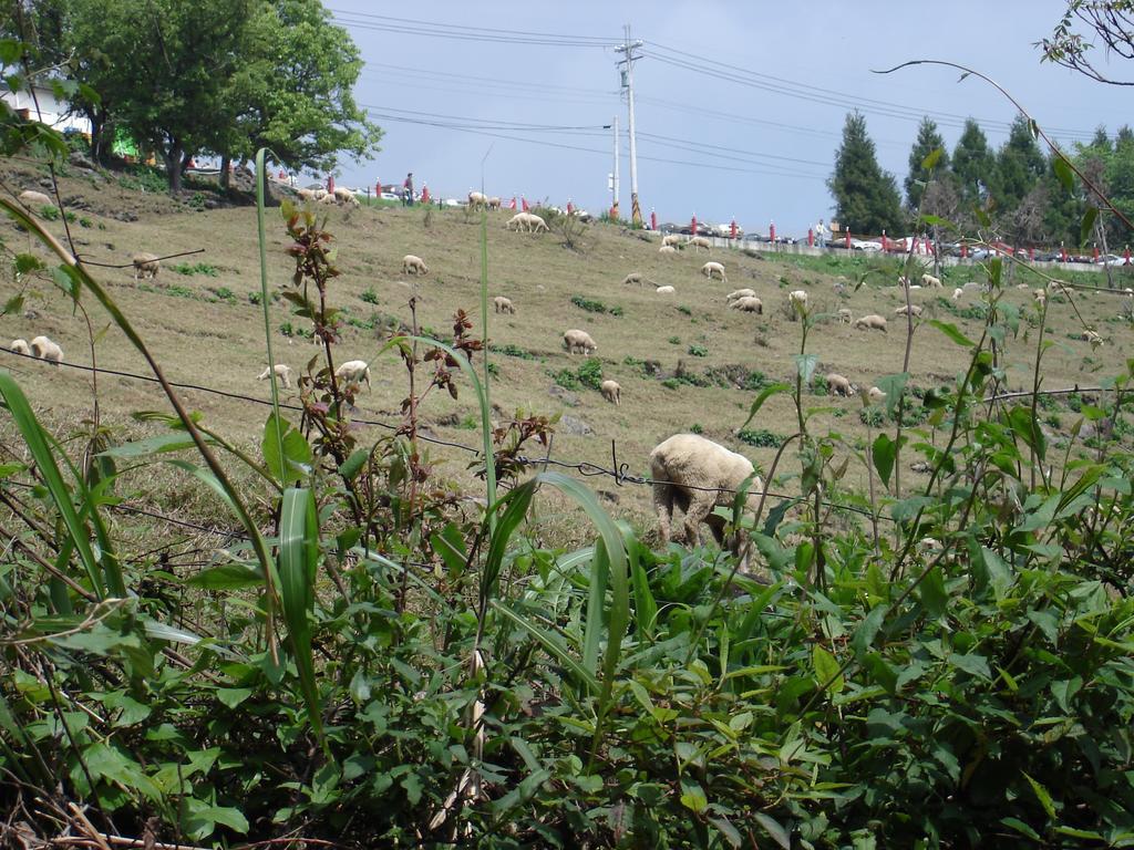 Winlu Vacation Farm Vila Renai Exterior foto