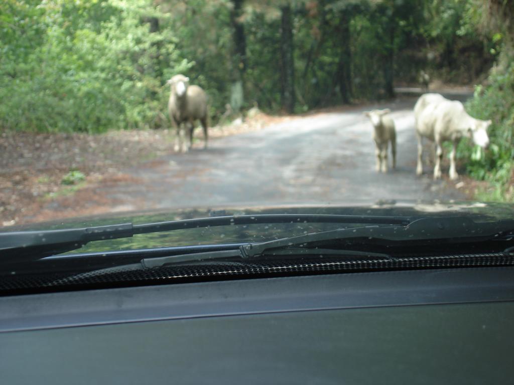 Winlu Vacation Farm Vila Renai Exterior foto